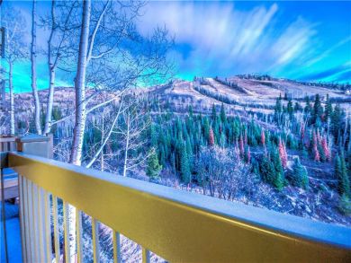 Steamboat Springs Home 927617