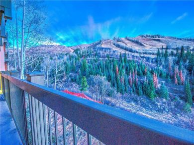 Steamboat Springs Home 927617