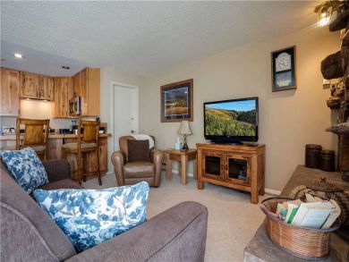 Steamboat Springs Home 927618