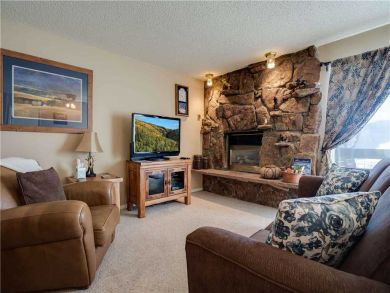 Steamboat Springs Home 927618