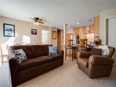 Steamboat Springs Home 927618