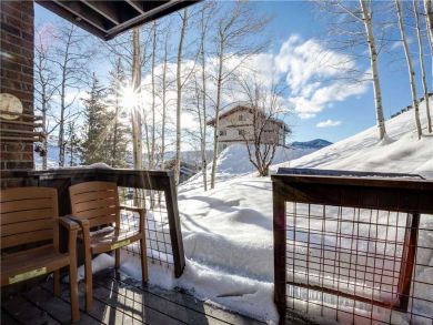 Steamboat Springs Home 927618