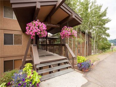 Steamboat Springs Home 927618