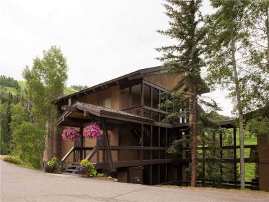 Steamboat Springs Home 927618