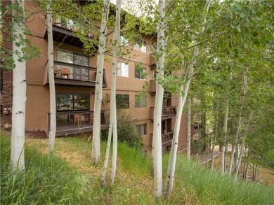 Steamboat Springs Home 927618