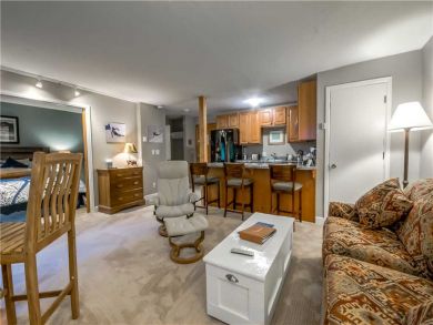 Steamboat Springs Home 927619