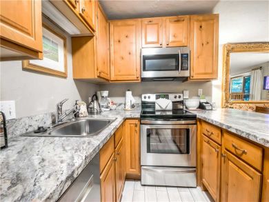 Steamboat Springs Home 927619