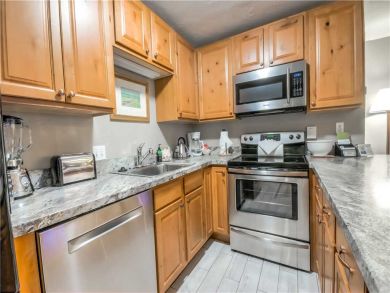 Steamboat Springs Home 927619