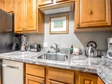 Steamboat Springs Home 927619