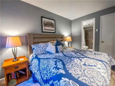 Steamboat Springs Home 927619