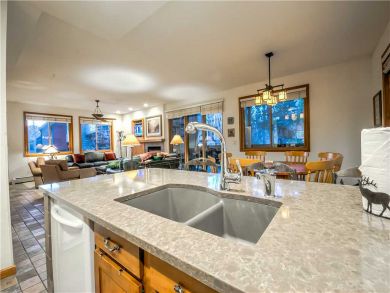 Steamboat Springs Home 927620