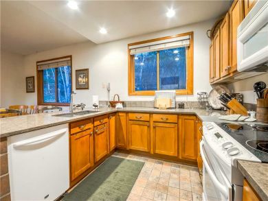 Steamboat Springs Home 927620