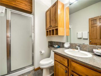 Steamboat Springs Home 927620