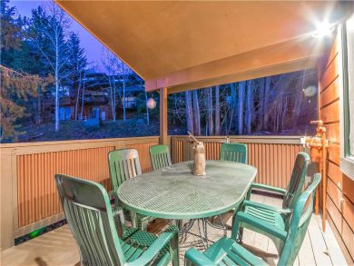 Steamboat Springs Home 927620