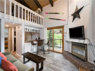 Steamboat Springs Home 927621