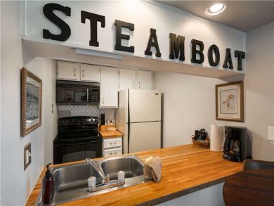 Steamboat Springs Home 927621
