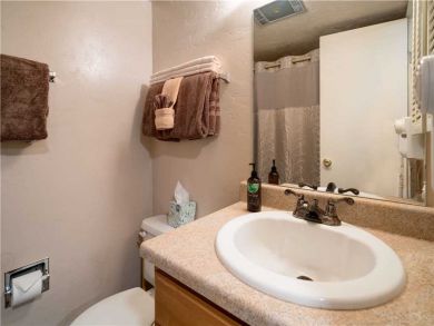 Steamboat Springs Home 927621