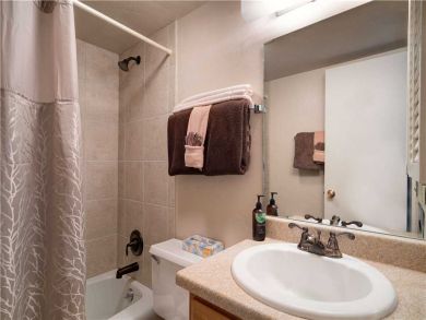 Steamboat Springs Home 927621