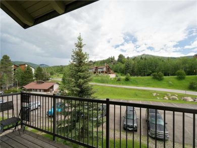 Steamboat Springs Home 927621