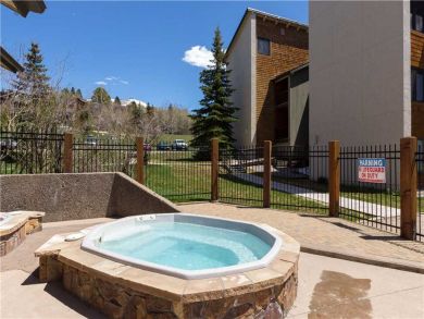 Steamboat Springs Home 927621