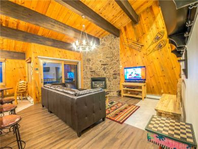 Steamboat Springs Home 927623