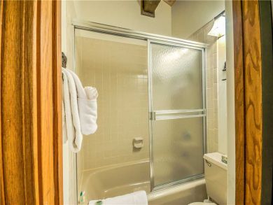 Steamboat Springs Home 927623