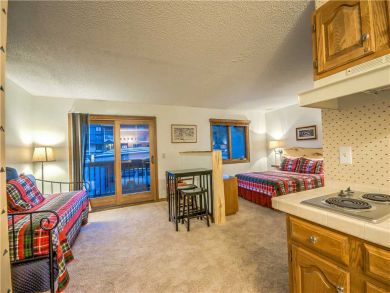 Steamboat Springs Home 927623