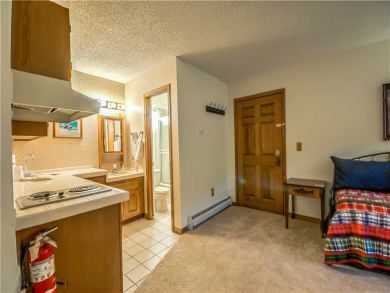 Steamboat Springs Home 927623