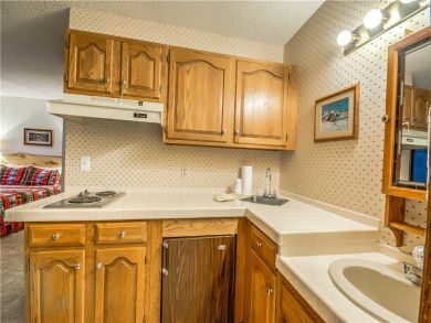 Steamboat Springs Home 927623