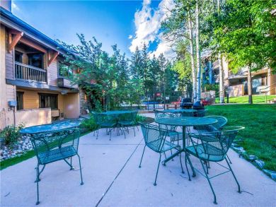 Steamboat Springs Home 927623