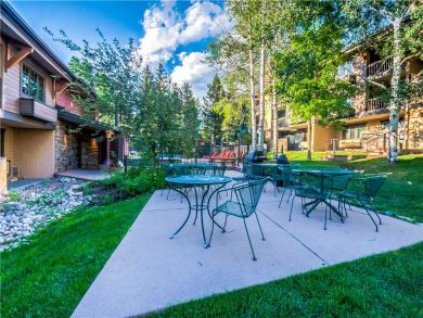 Steamboat Springs Home 927623