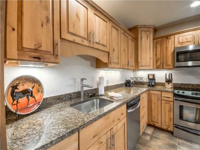 Steamboat Springs Home 927626