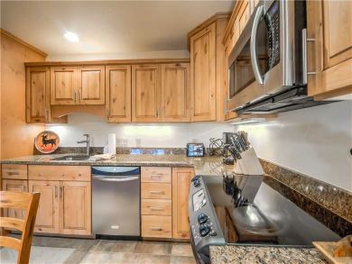 Steamboat Springs Home 927626