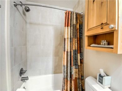 Steamboat Springs Home 927626