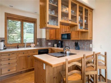 Steamboat Springs Home 927627