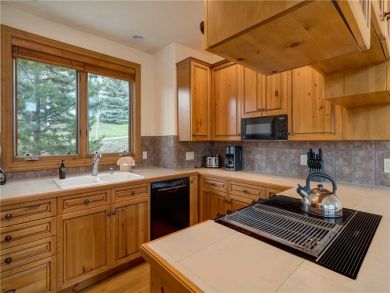 Steamboat Springs Home 927627