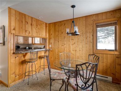 Steamboat Springs Home 927628