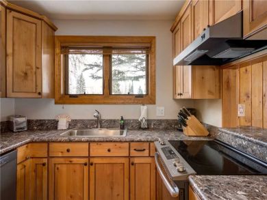 Steamboat Springs Home 927628