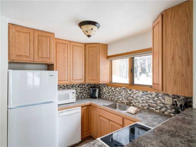 Steamboat Springs Home 927629