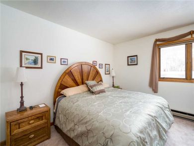 Steamboat Springs Home 927629