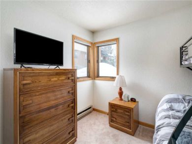 Steamboat Springs Home 927629