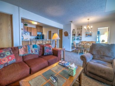 Steamboat Springs Home 927631