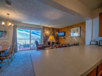 Steamboat Springs Home 927631