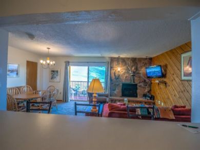 Steamboat Springs Home 927631