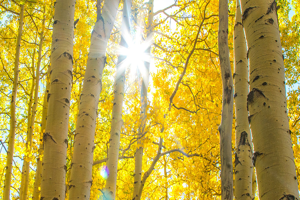 Steamboat Springs Home 927631