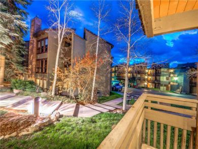 Steamboat Springs Home 927633