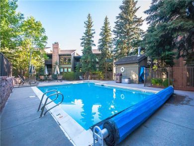 Steamboat Springs Home 927633