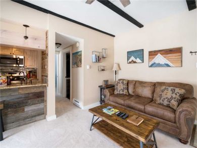 Steamboat Springs Home 927638