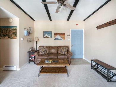 Steamboat Springs Home 927638