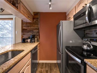 Steamboat Springs Home 927638